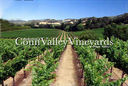 Anderson's Conn Valley Vineyards 