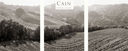 Cain Vineyards & Winery