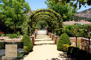 Cliff Lede Vineyards