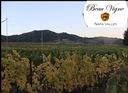 Beau Vigne
