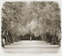 Round Pond Winery