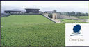Opus One Winery